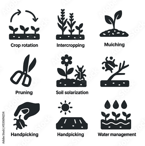 Cultural Pest Control Icons. Solid, filled icons set of cultural pest control methods: crop rotation,