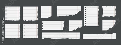 Set of lined torn notebook paper sheets with rough edges and punch holes, blank and isolated on grey background. School or office note paper. Vector illustration in flat style.