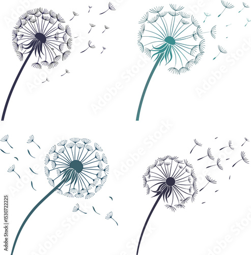 vector dandelion flower