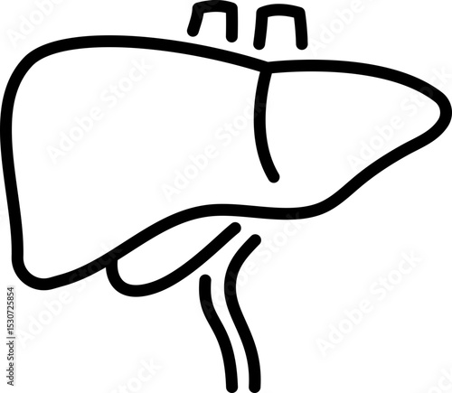 Human liver icon - Editable Stroke SVG, fully scalable.