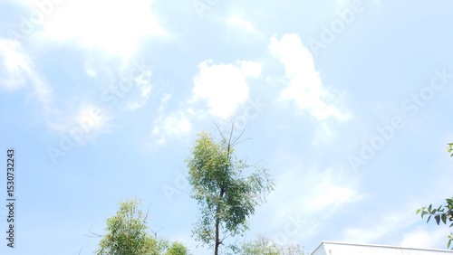 sky and clouds