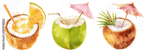 PNG Tropical coconut drinks illustration, element set on transparent background