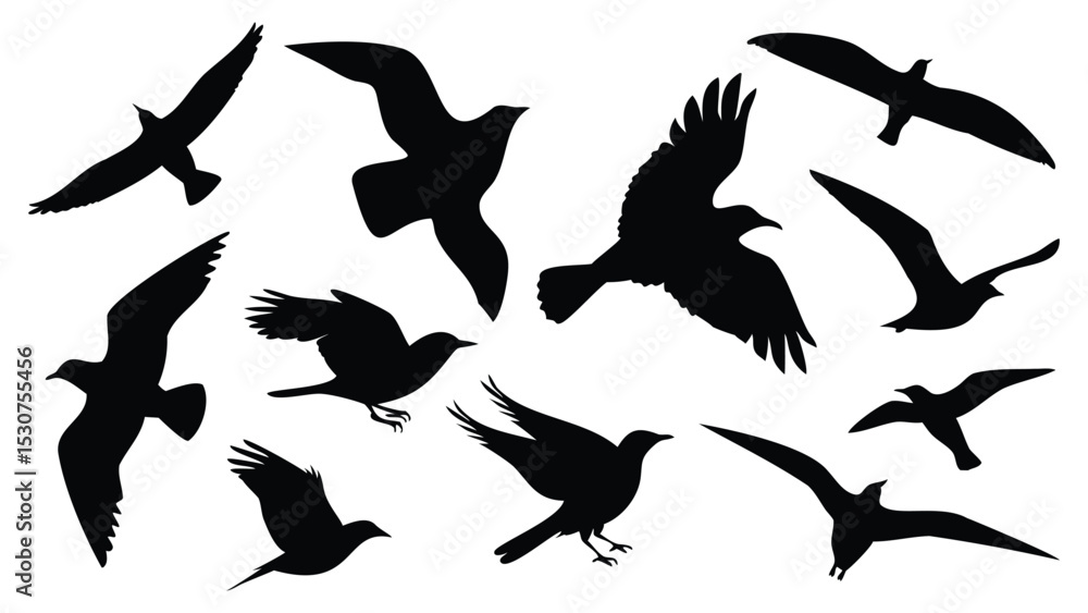 Flying bird silhouettes vector in various positions Flying bird silhouettes vector in various positions