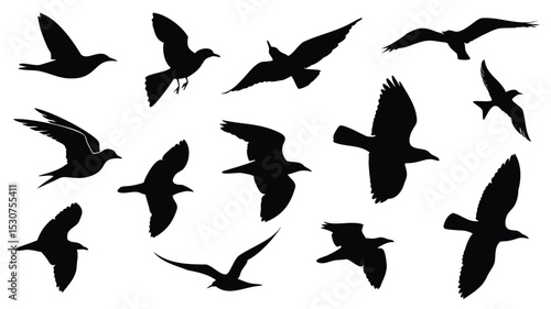 Black flying birds silhouettes vector in assorted styles, Set of flying bird shapes in black