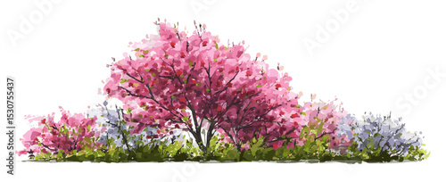 Blooming flower tree, green garden tree vector illustration, forest landscape elements, watercolor style, white background, side view tree for architecture use, transparent background.