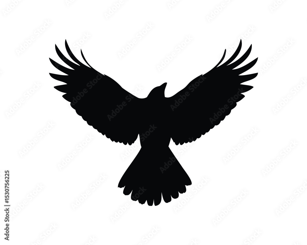 Obraz premium Black Flying bird silhouette of a crow or raven with open wings spread in flight