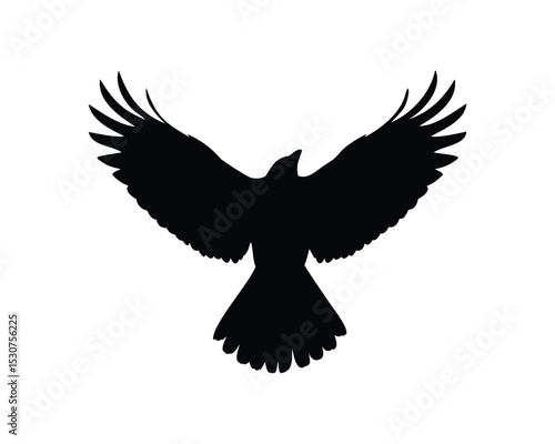 Black Flying bird silhouette of a crow or raven with open wings spread in flight
