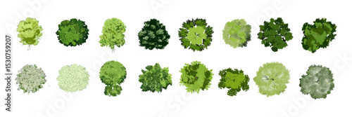 Top view vector illustration of tropical plants, green trees for outdoor plan, spring blooming flowers, architectural map design, garden landscaping, botanical environment elements.