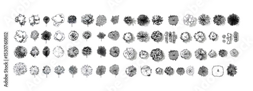 Vector illustration set of tree top view line art, diverse architectural tree shapes for landscape design, eco urban planning, mapping visuals, garden architecture.