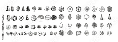 Tree top view line art vector illustration set, hand drawn tree shapes for urban planning, landscape architecture, garden layout, blueprint elements, mapping, park design.