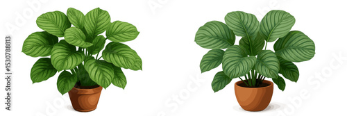 Indoor plants in decorative pots enhance home decor with vibrant greenery and natural charm