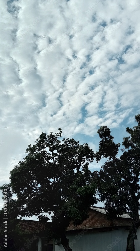 Obraz premium Cloudscape with Trees and Building Outdoors