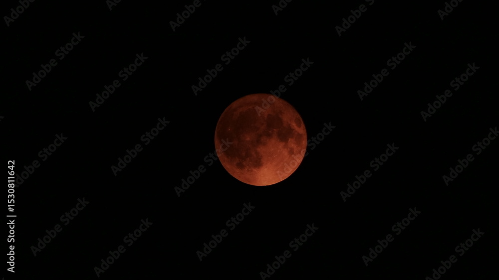 Obraz premium moon in space