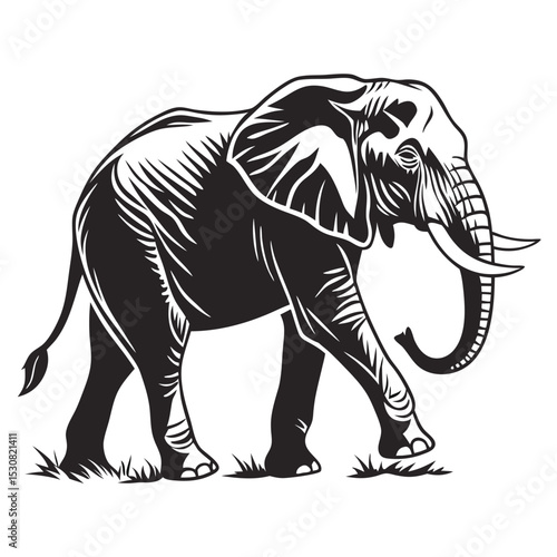 Majestic elephant strides forward, its powerful silhouette starkly contrasting against the white background