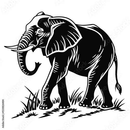 Monochrome illustration shows the elephant walking in the grassy field while foraging around for vegetation