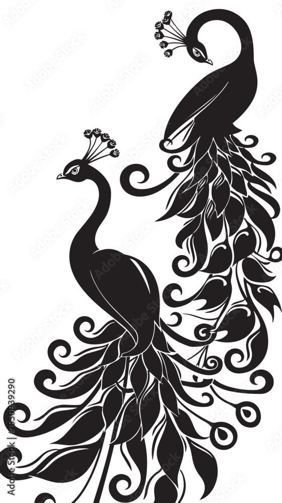 Fototapeta premium Peacocks silhouette isolated in White background