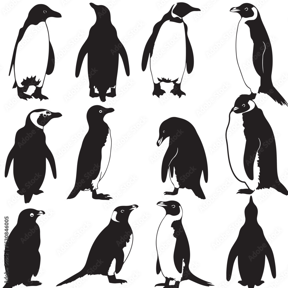 Fototapeta premium penguin bird animal silhouette cartoon , black silhouettes isolated on white background
