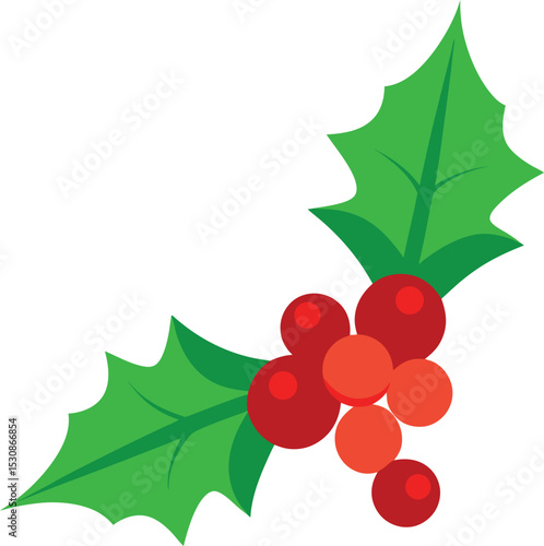 holly berries and leaves