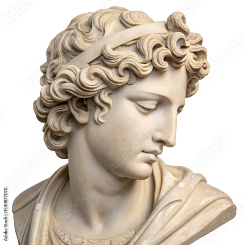 Bust of Apollo Belvedere Sculpture Isolated on Transparent Background