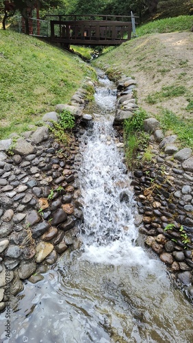 stream in the forest
