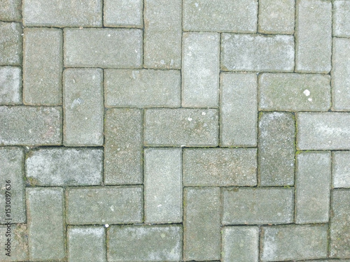 Gray Paved Brick Pathway with Moss and Dirt in Outdoor Setting