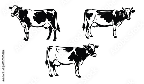 black and white cow set
