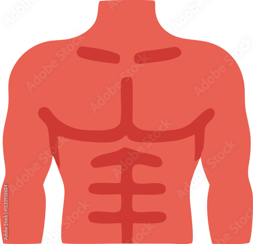 Muscular Human Torso Flat Anatomy Icon