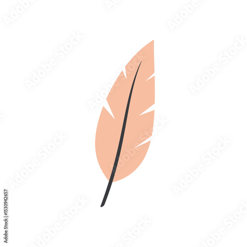 Simple, pale peach feather with a dark quill on a bright white background