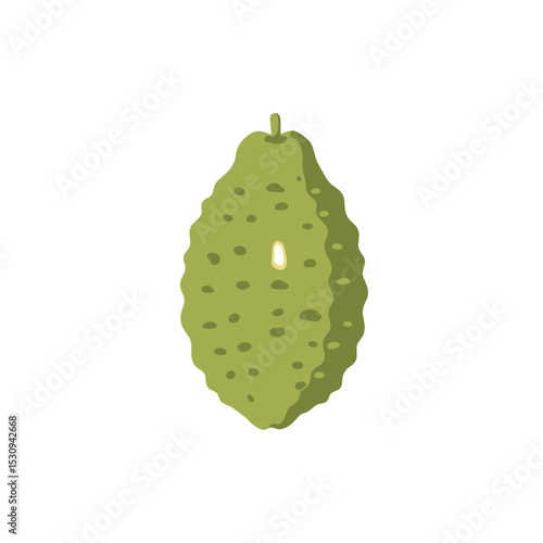 An illustration of an bumpy, pear-shaped, green fruit, like an Asian pear, isolated on a white background