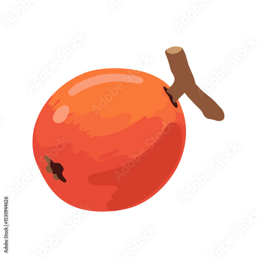 An orange round fruit with a woody brown stem on a stark white background, simple clip art style