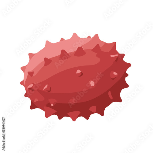 Red, spiked, and textured fruit on a white background, vector illustration with varied shading