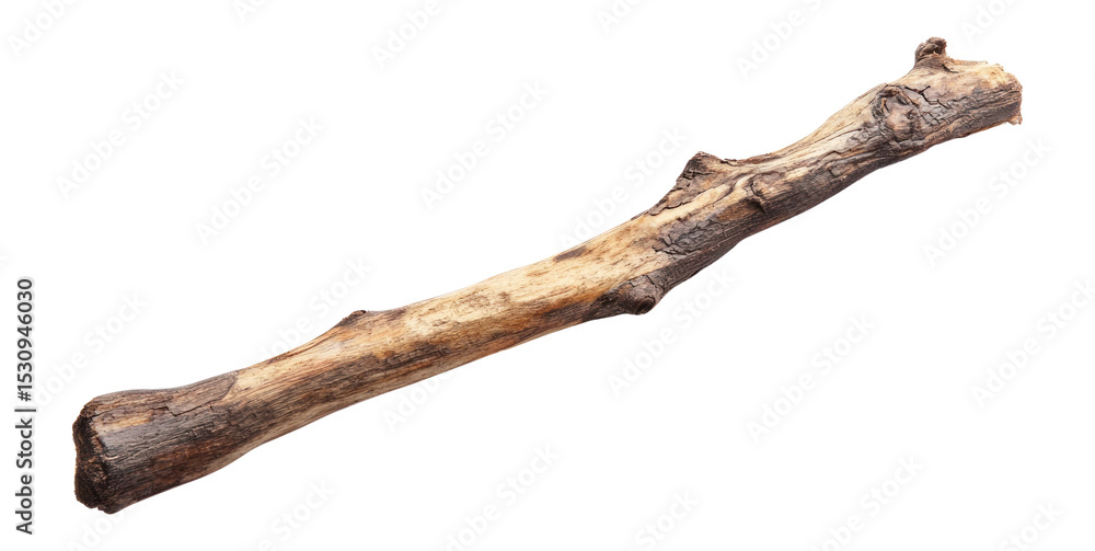 PNG Wood stick isolated appearance natural. PNG Wood stick isolated appearance natural.