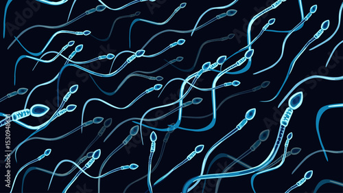 espermatozoides nadando fecundidad embarazo
