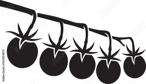 Tomatoes on vine simple silhouette art, Garden vegetable cluster illustration