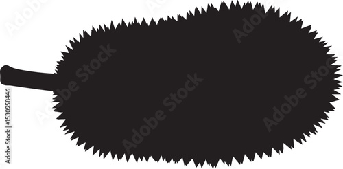 Durian Fruit Silhouette Vector Illustration Graphic
