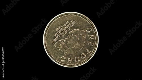 Gibraltar 2013 one pound coin reverse with Neanderthal skull commemorative design rotating on black background