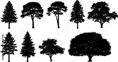 Tree silhouette vector. Isolated forest trees on white background
