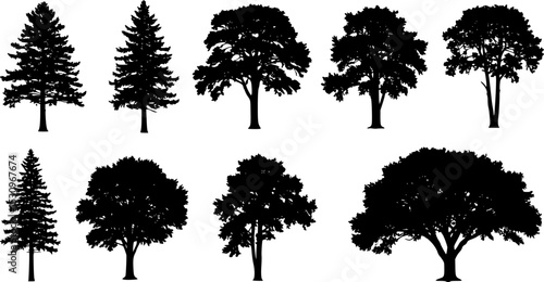 Tree silhouette vector. Isolated forest trees on white background
