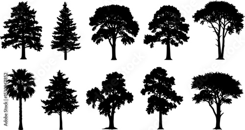 Tree silhouette vector. Isolated forest trees on white background
