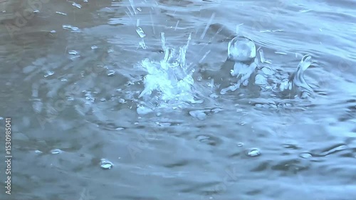 water droplets drip onto the water surface to form splashes
