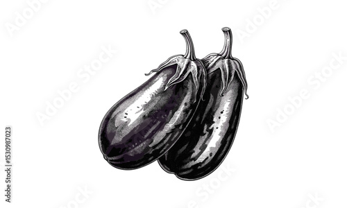 Wallpaper Mural Long Eggplant Engraving Vintage Aubergine Illustration, botanical, detailed, hand-drawn, vegetable art, organic, food sketch, nature, agriculture, natural art, vector drawing. Torontodigital.ca