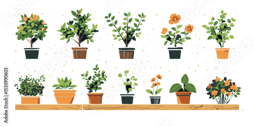 Collection of minimalist flat vector illustrations featuring various potted plants in a simple and modern style suitable for design projects