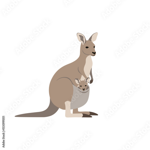 Graphic illustration of a kangaroo with joey in pouch, isolated on a white background