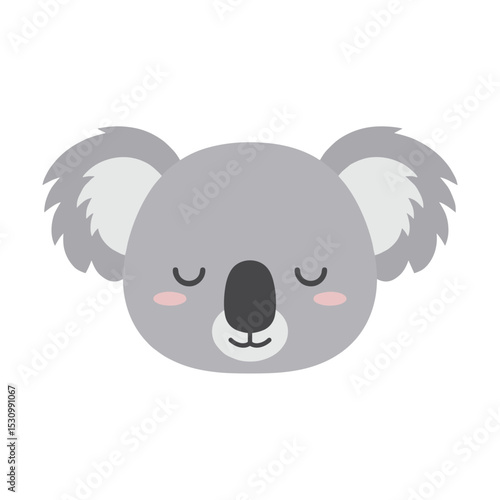 Cute Koala Illustration