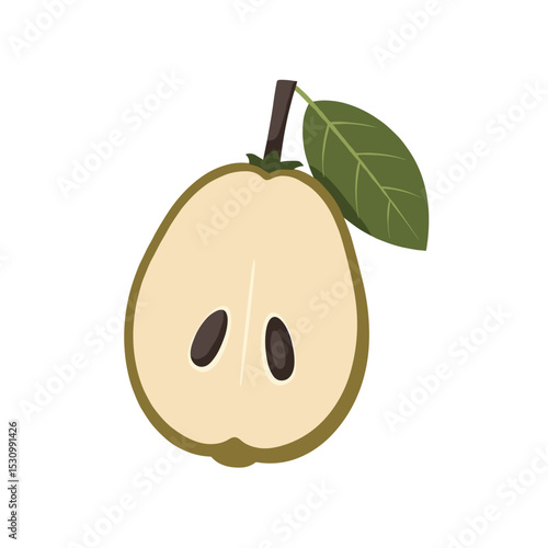 Half cut custard apple with green leaf and stem illustration on a white background