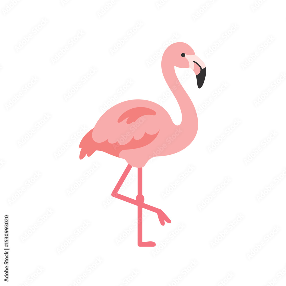 Fototapeta premium Pink Flamingo Illustration