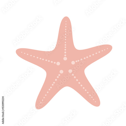 Salmon starfish with dotted lines