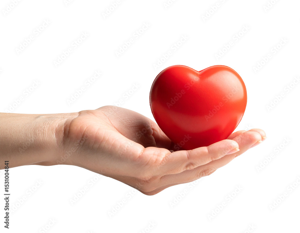 Obraz premium heart in hand