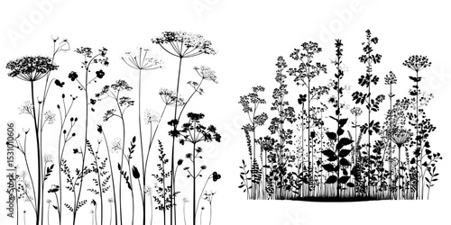 A seamless pattern of grass silhouettes is set against a horizontal black contour on a white background, symbolizing a lush landscape of fields, lawns, parks, and meadows, evoking freshness and