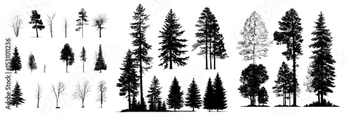 Isolated set of genuine modern-day silhouettes of coniferous trees